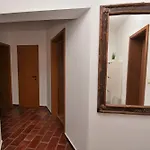Honey Bee