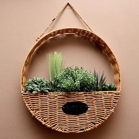 Daire Honey Bee Pula